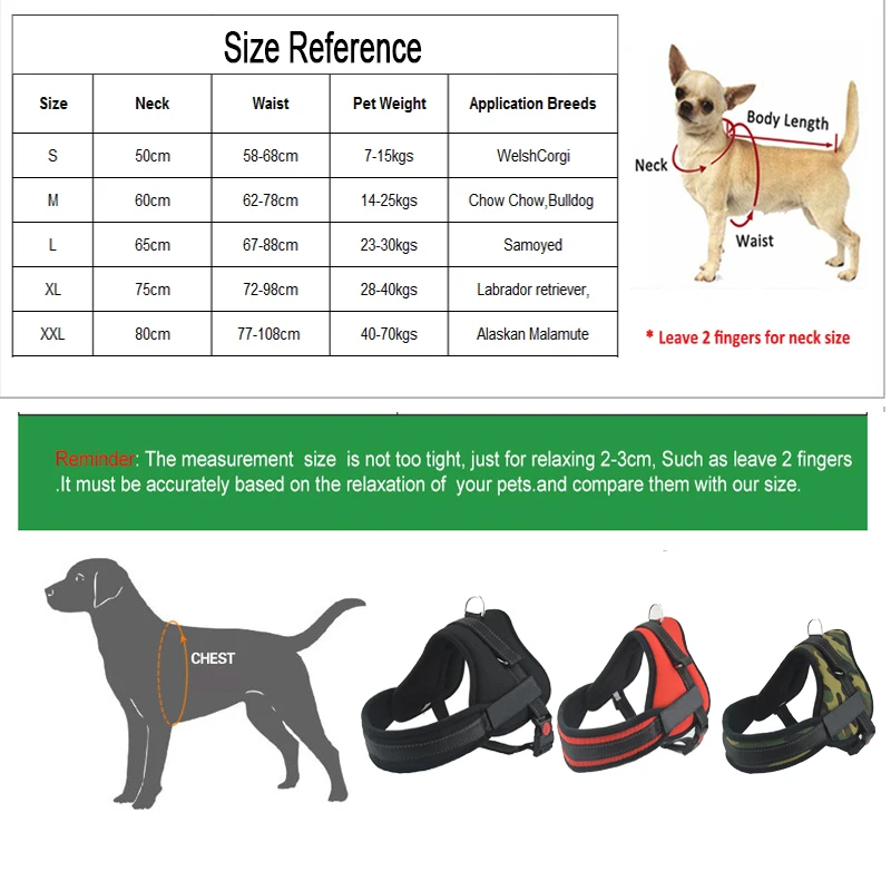Индивидуальная жгут для собак с именем больших индивидуальная
