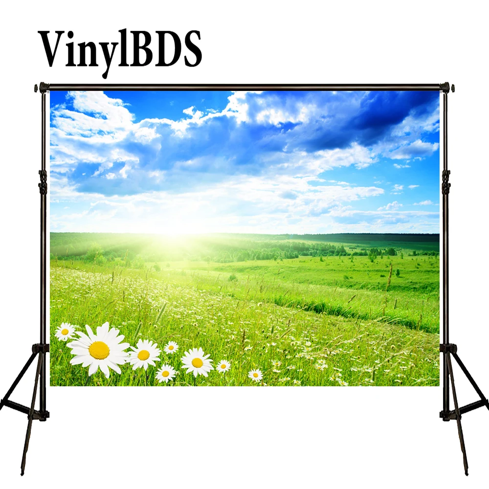 

VinylBDS весеннее поле фотографии фоны Луг голубое небо фон живописные фотографии фоны большой размер бесшовные фото