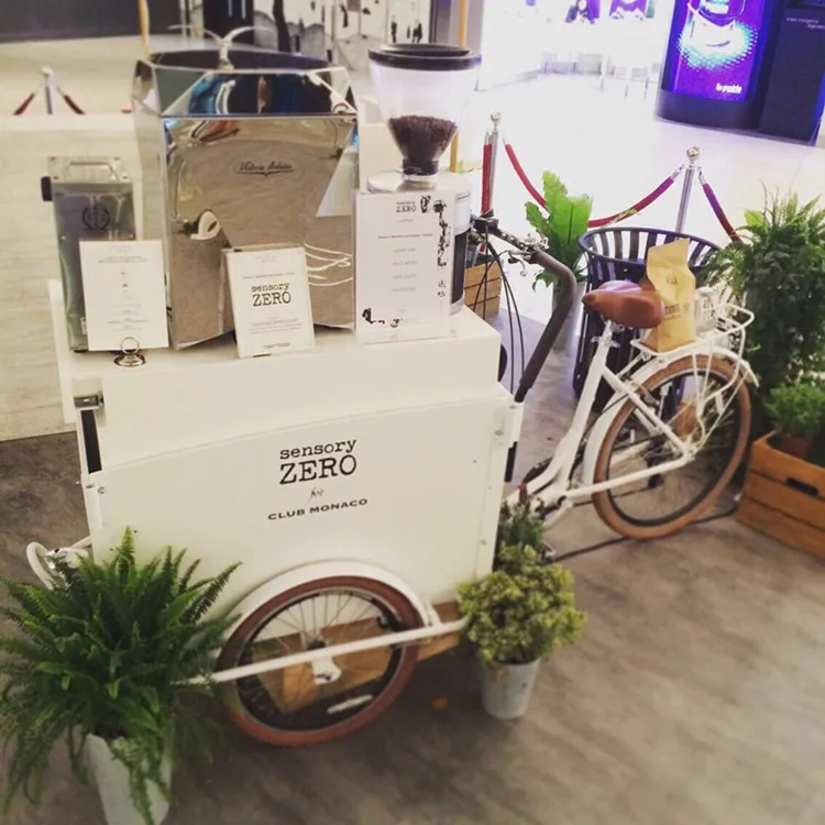 Европейский мобильный трехколесный велосипед для взрослых Электрический