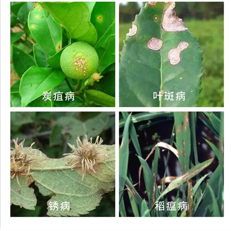 Plant Rooting Growth Drugs Pesticides Insecticides Sterilization Fertilizer Carbendazim for Flower Tree Plants Fungicides 80g | Дом и сад