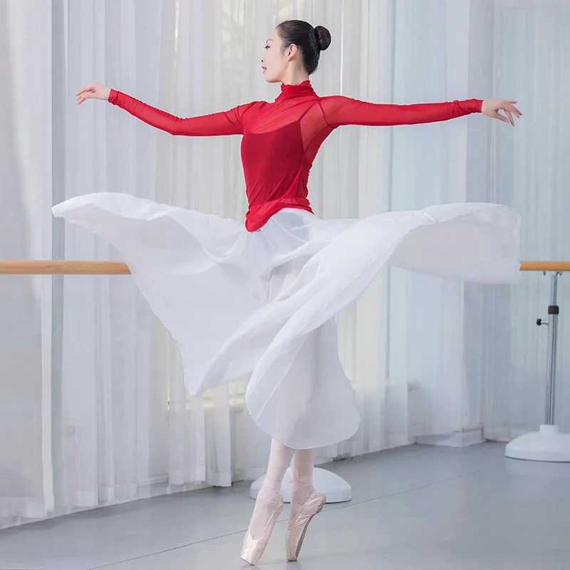 The new classical dance clothes and Shayi elegant female high-necked long-sleeved T-shirt modern costumes sexy | Тематическая