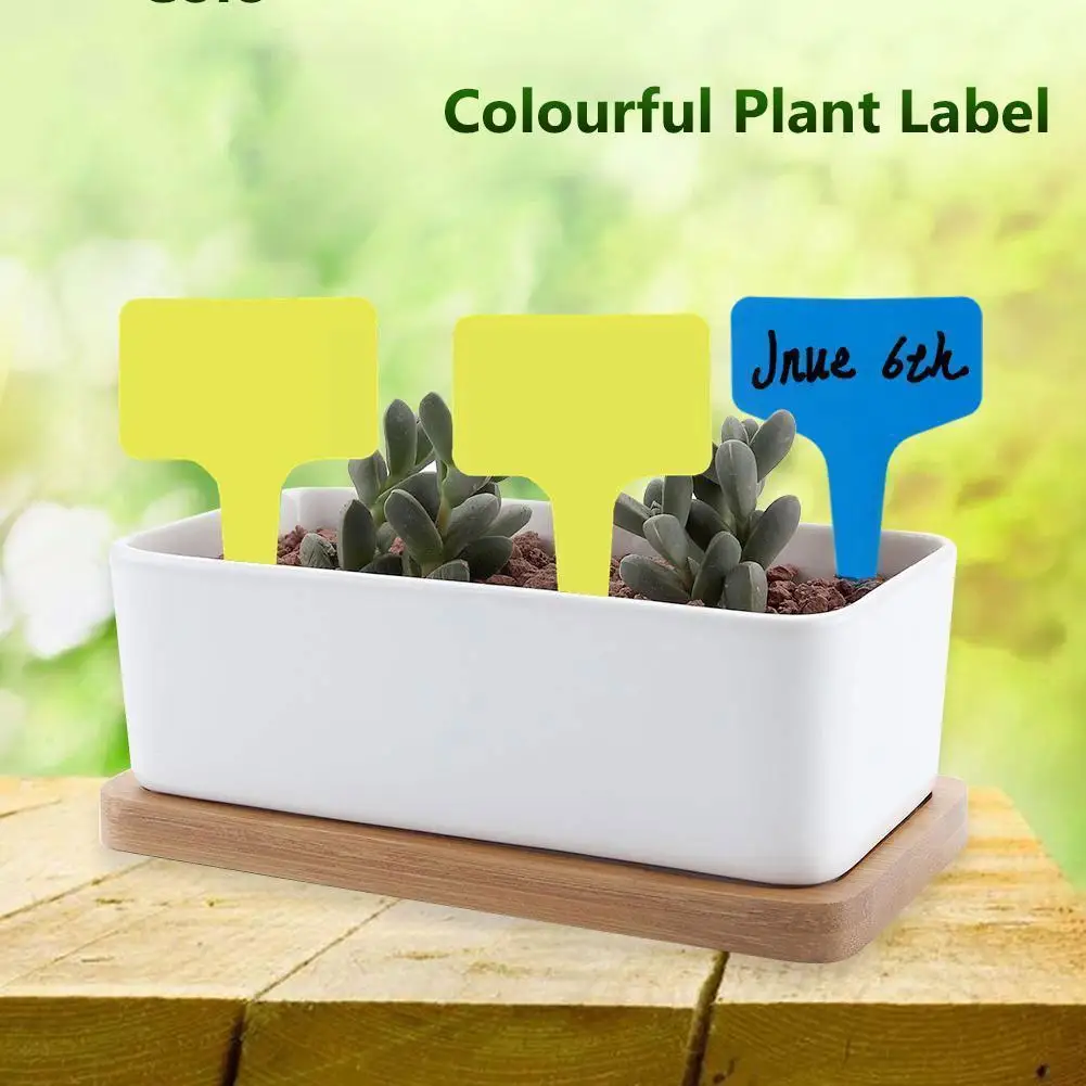 

100pcs T-shaped Plastic Plant Label Waterproof Flower Label Plaque Label Marker Sign Seed Garden Variety Plant M3G2