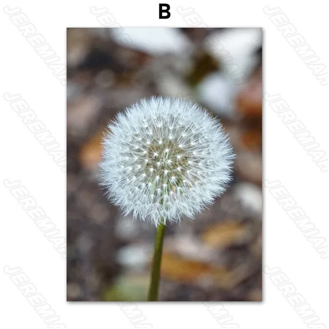 

White Dandelion Landscape Poster Nordic Style Waterproof Ink Canvas Print Hd Painting Modern Bedroom Decoration