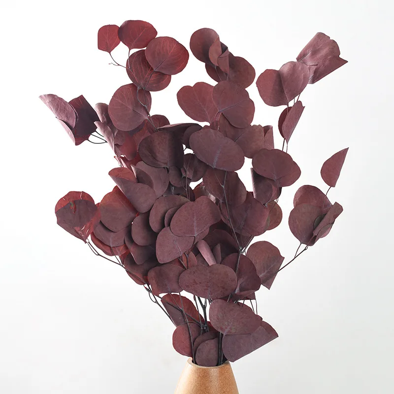 25/50 г натуральный сохраненный эвкалипт вечный дисплей сухой цветок яблоко