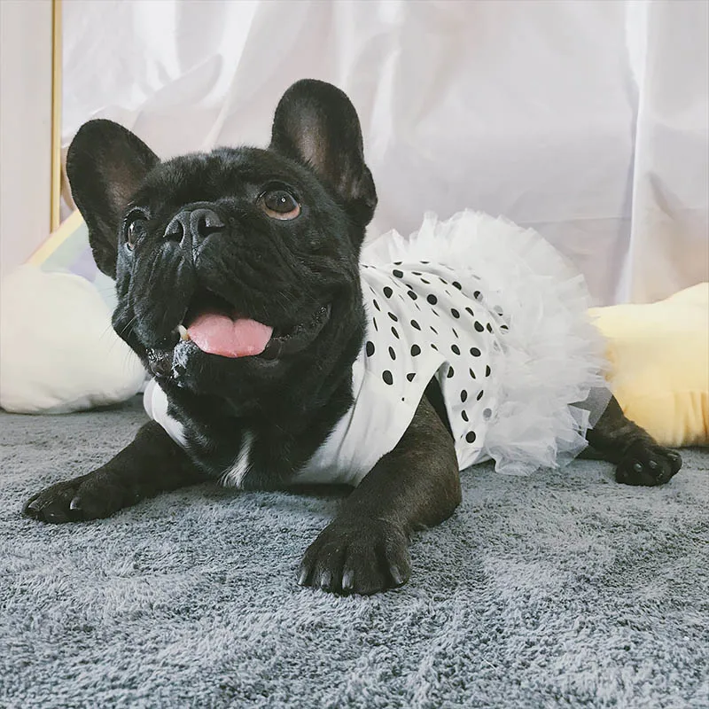 

Fat Dog Clothes Dot Classic Dog Tulle Dress Pet Wedding Dresses For Medium Large Dogs Clothes French Bulldog Pug Pet Clothing