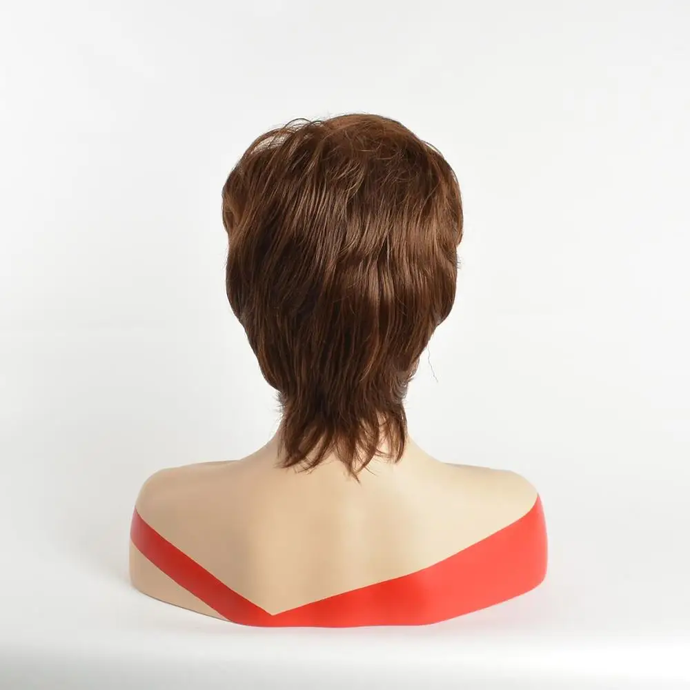 

ALIZING Short Wigs Brown Female Haircut Puffy Straight Natural Synthetic Hair for American African Women Daily Wig