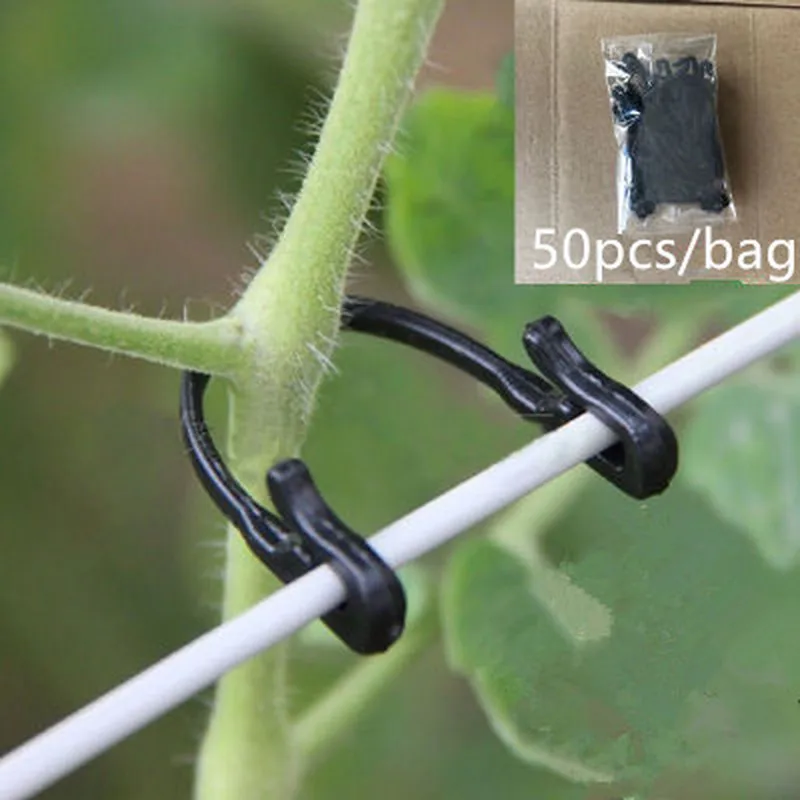 50 шт. крепление для виноградной лозы с перекрестной шнуровкой Зажимы Пряжка крюк