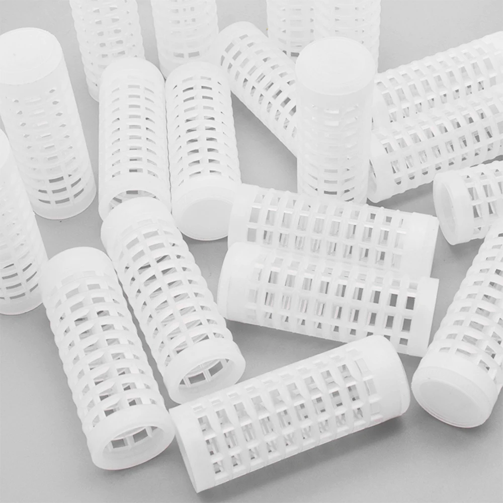 Разведение пчел коробка королева разведение комплект пчелиный инкубатор