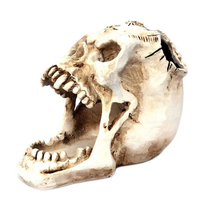 Skull Head Ornament Skeleton Pen Holder Desktop Pencil Organizer Makeup Storage XXUC | Канцтовары для офиса и дома