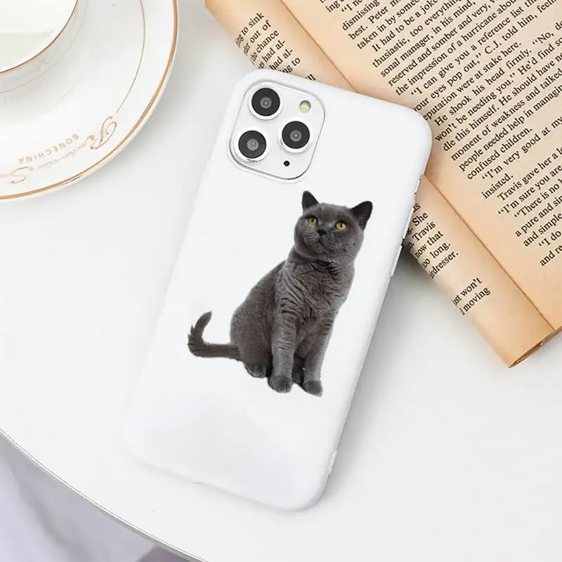 

Cute funny cat Phone Case Candy Color White for iPhone 11 pro XS MAX 8 7 6 6S Plus X 5S SE 2020 XR