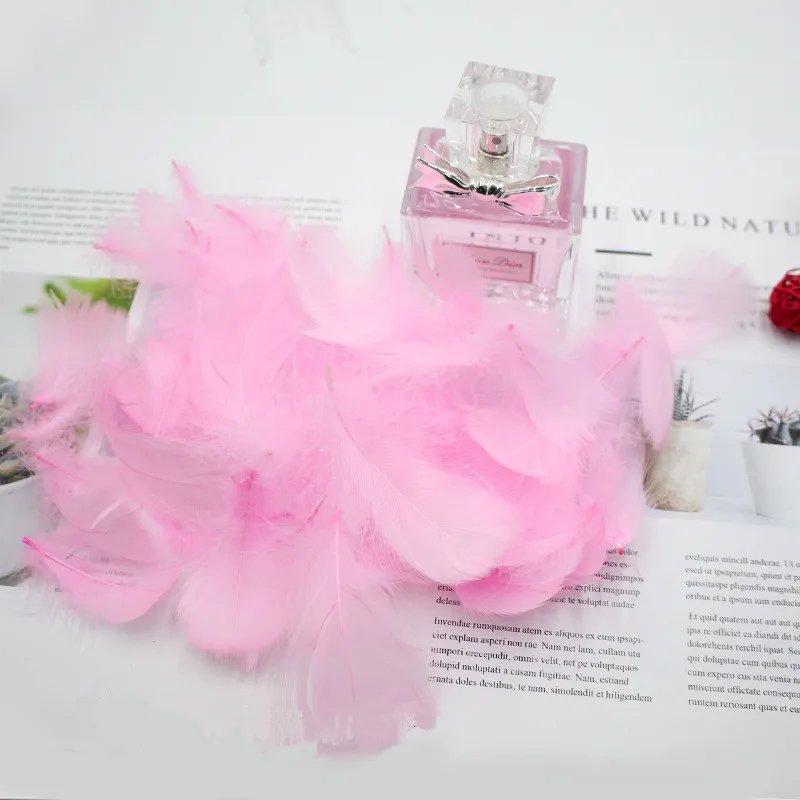 100 шт./лот Разноцветные перья Подарочный упаковочный материал коробка