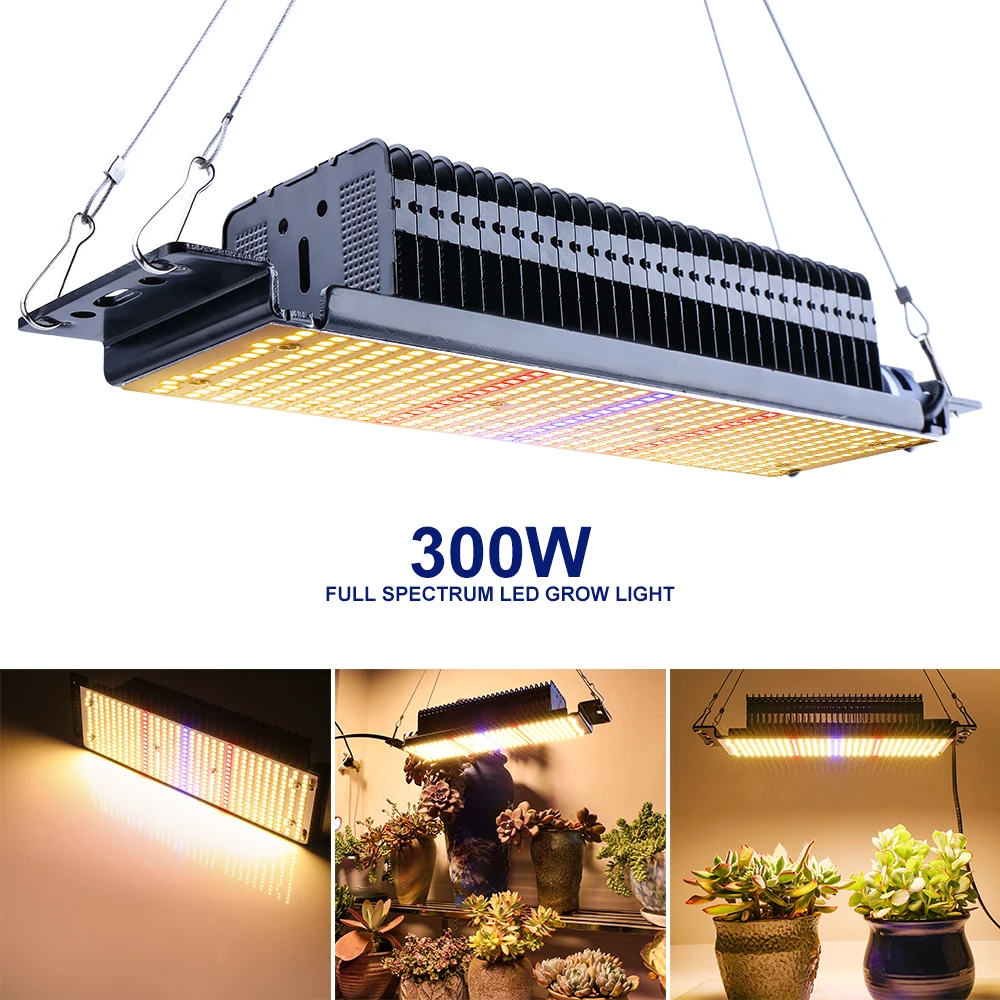 

XRYL US 300W Hydroponic Full Spectrum Indoor Plant Growing Warm White Phytolamp for Vegetable Flower Plant Grow Tent Greenhouse
