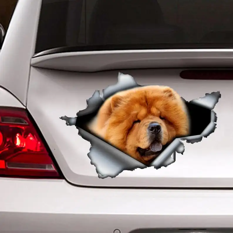 

2021 Red Chow Chow sticker , car decoration, Red Chow Chow decal, dog sticker, dog decal