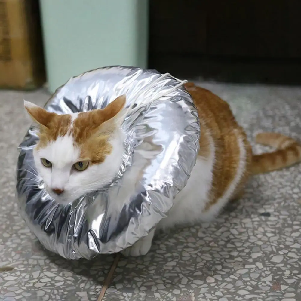 

Универсальный Модный мягкий ошейник для домашних животных милый ошейник для кошек удобный для дома