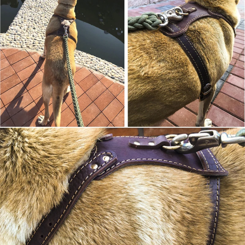 

Genuine Leather Dog Harness for Large Dogs Pet Training Vest With Quick Control Handle Adjustable For Labrador