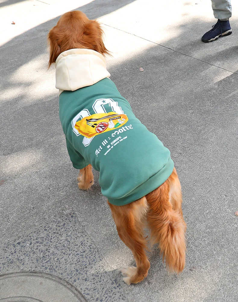 

Pet Dog Clothes Autumn Thin Anti-hair Medium-sized Large Dog Autumn and Winter Clothing