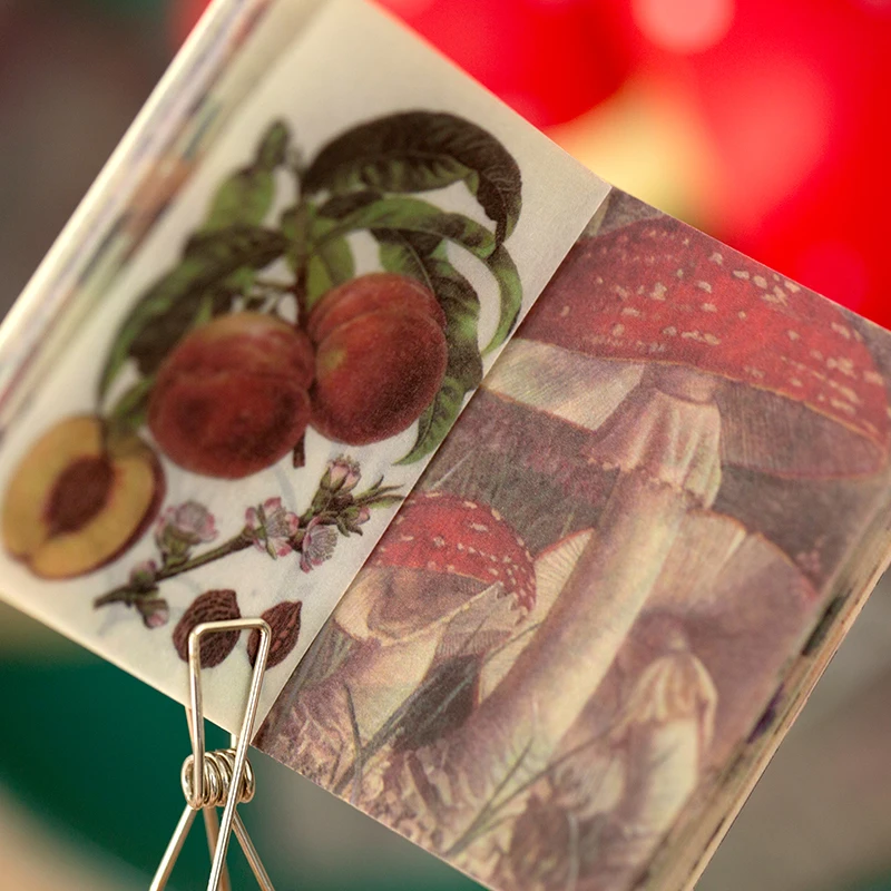 Миниатюрная бумага для записей в ботаническом саду 50 шт./лот | Дом и сад