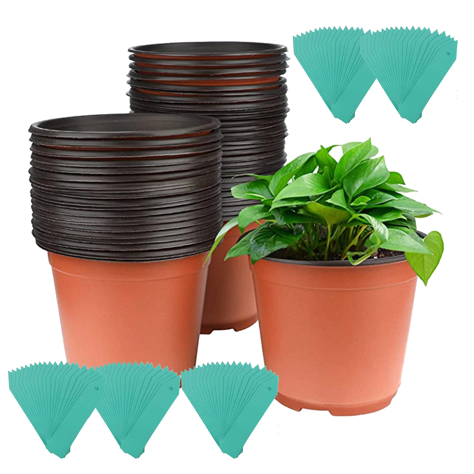 

Plant Nursery Pots 100 Packs/4 Inch Plastic Pots Reusable Succulents, Vegetables And Fruits, Seedling Pots With 100 Plant Labels