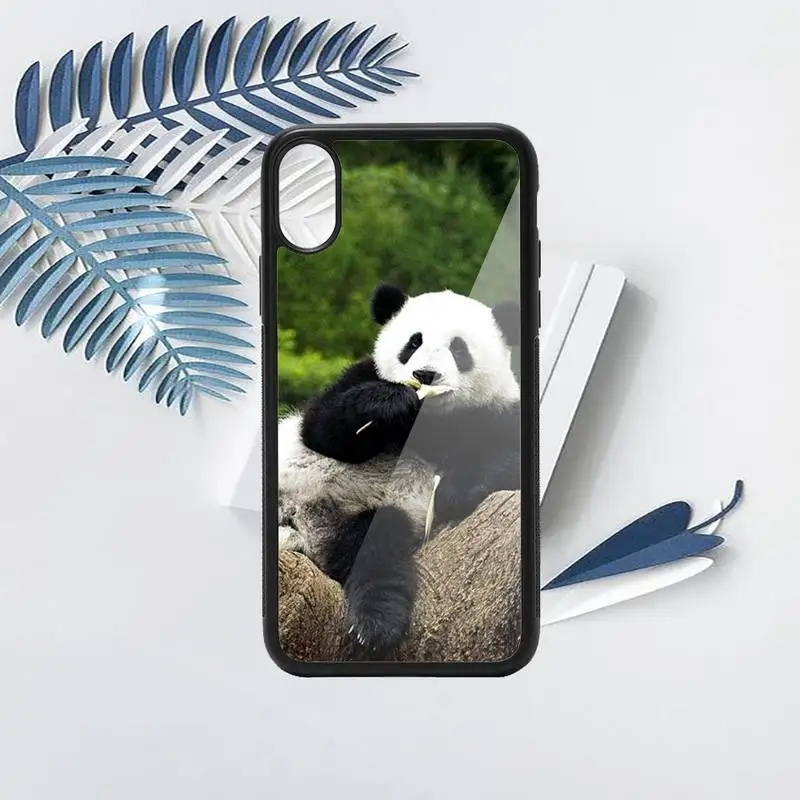 

Panda cute animal Phone Case PC for iPhone 11 12 pro XS MAX 8 7 6 6S Plus X 5S SE 2020 XR