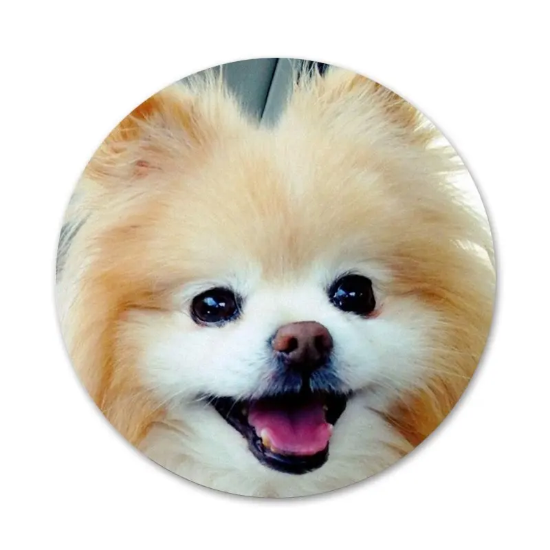 Значки для щенков померанского шпильки значки металлические детской модели 58