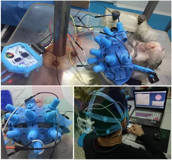 Совершенно новый EEG-колпачок полностью сухой электрод совместимый с Openbci Ultracortex _