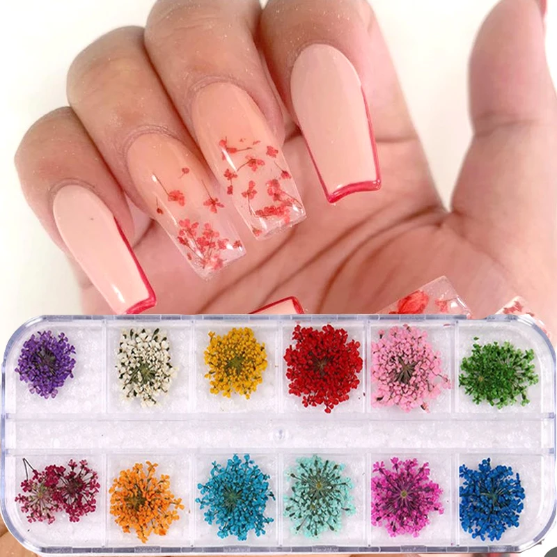 

12 Patterns Dry Flowers Nail Art Decoration 3D DIY Natural Various Flowers Design Tips Manicure Tools with Box Nail Art Tools