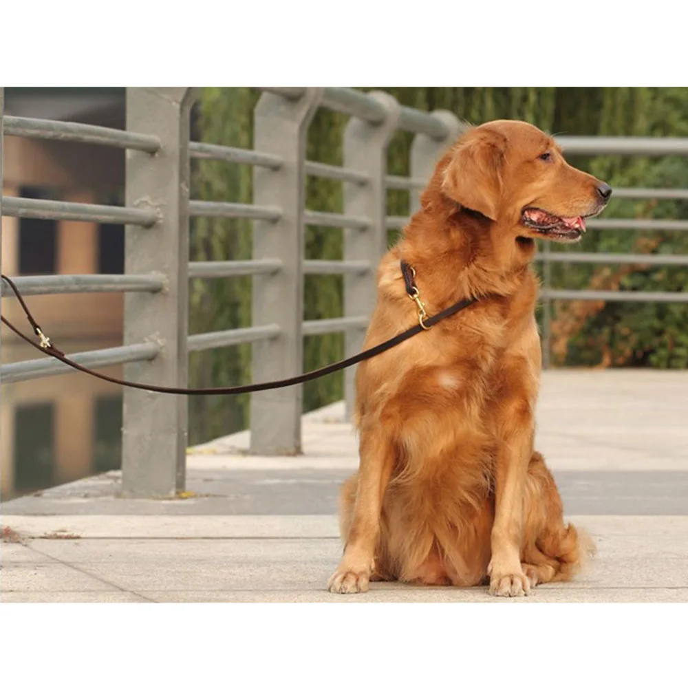 Multifunctional Dog Leash Hands Free Real Leather Running 8ft Long Training Pet Supplies for Large &amp Small Dogs | Дом и сад
