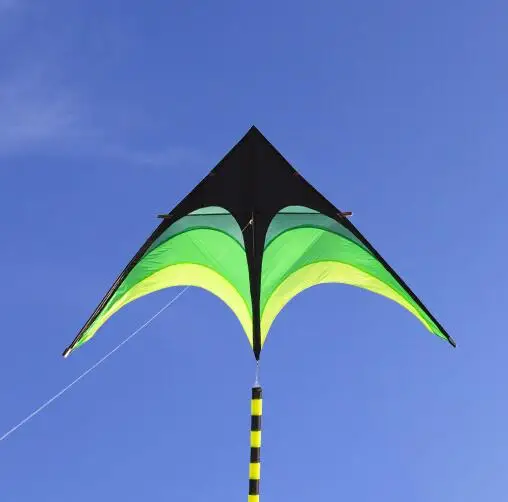

free shipping high quality large delta kites tails with handle outdoor toys for kids kites nylon ripstop albatross kite factory