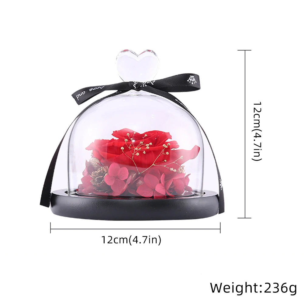 

Beauty And The Beast Preserved Valentines Day Gift Exclusive Rose In Glass Dome With Lights Eternal Real Rose Mother'S Day