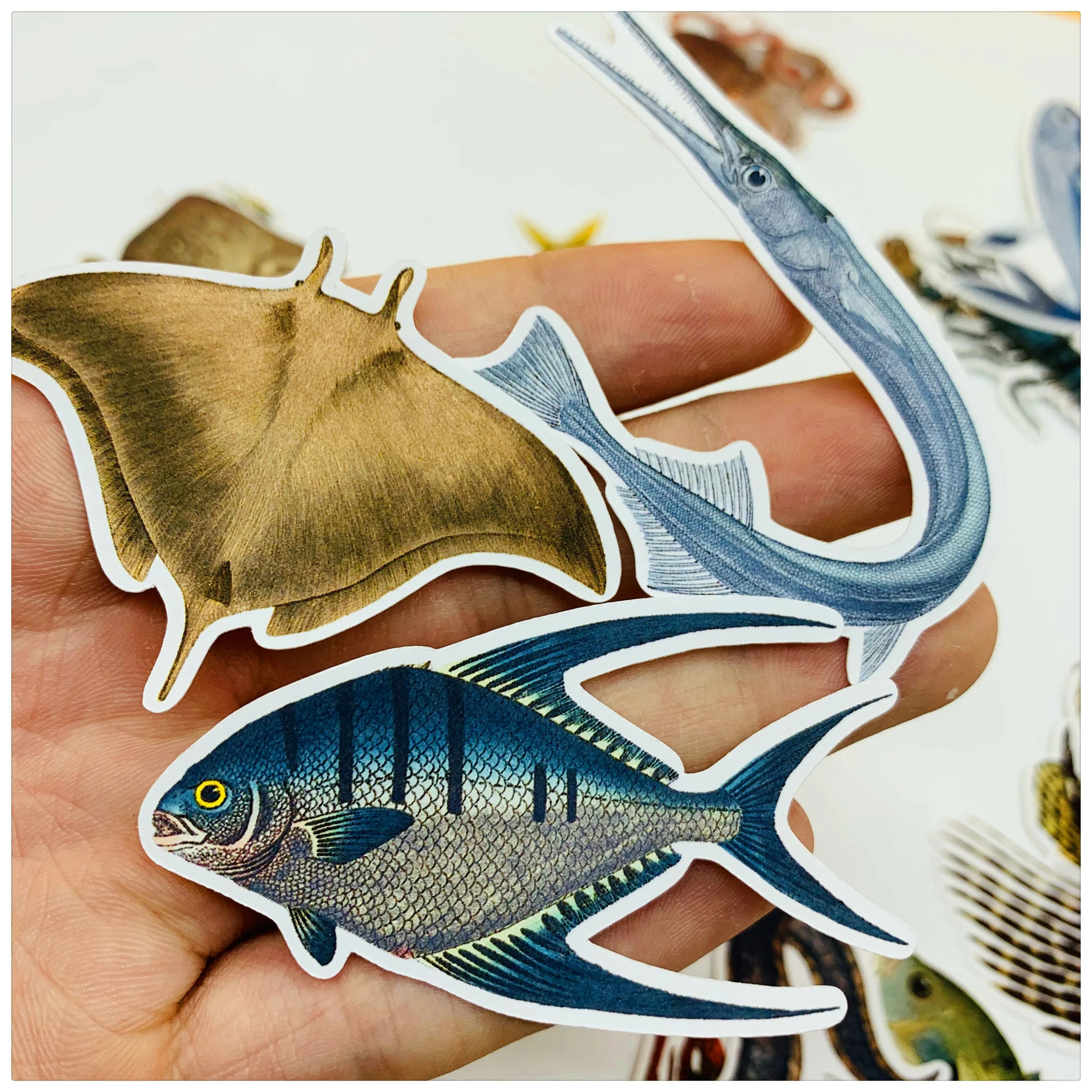 24 звёздочки винтажные наклейки с морскими животными рыбами самодельные