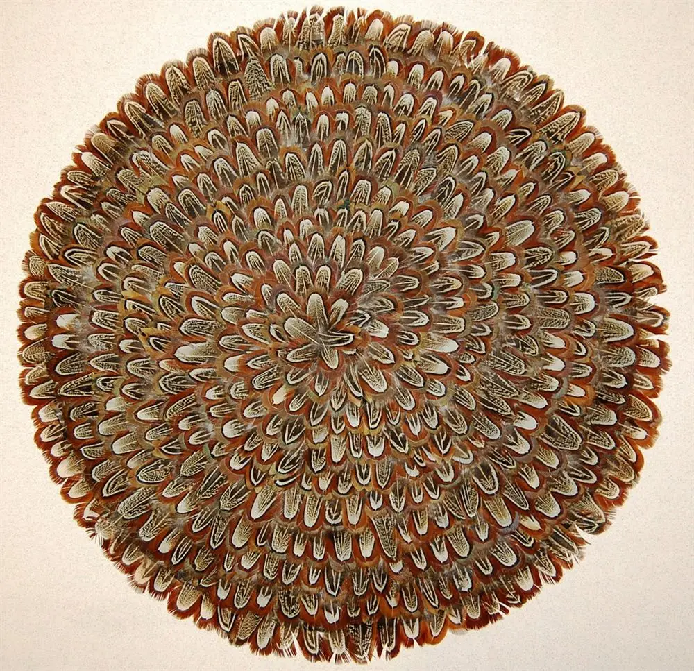 

20/100/500PCS Quality Natural Pheasant Feathers 3-8cm Natural Feather for DIY Jewelry Party Clothing Decoration Crafts Wholesale