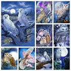 Квадратная 5D алмазная вышивка MomoArt, картина с животными, мозаика с рисунком совы, ручная работа, подарок