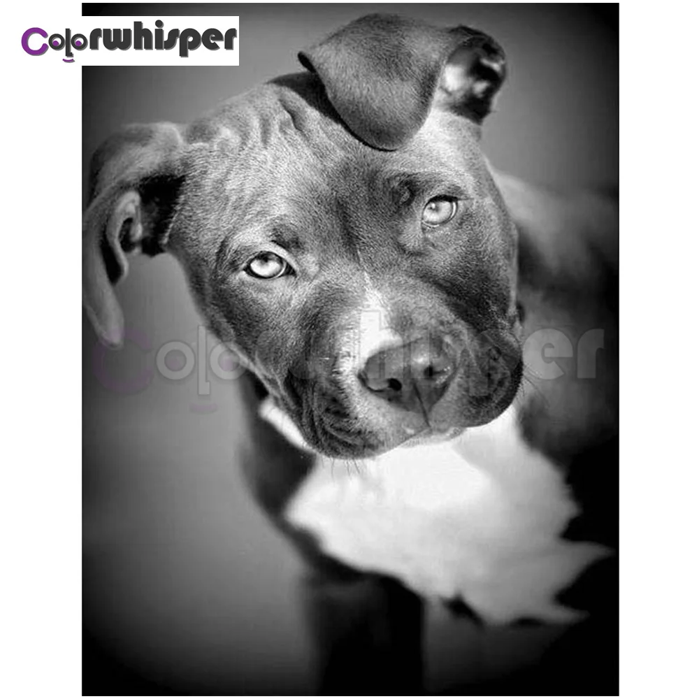 

Алмазная живопись, полноразмерная/круглая картина с рисунком собаки 5D, вышивка крестиком, мозаика, картина из кристаллов, настенное искусст...