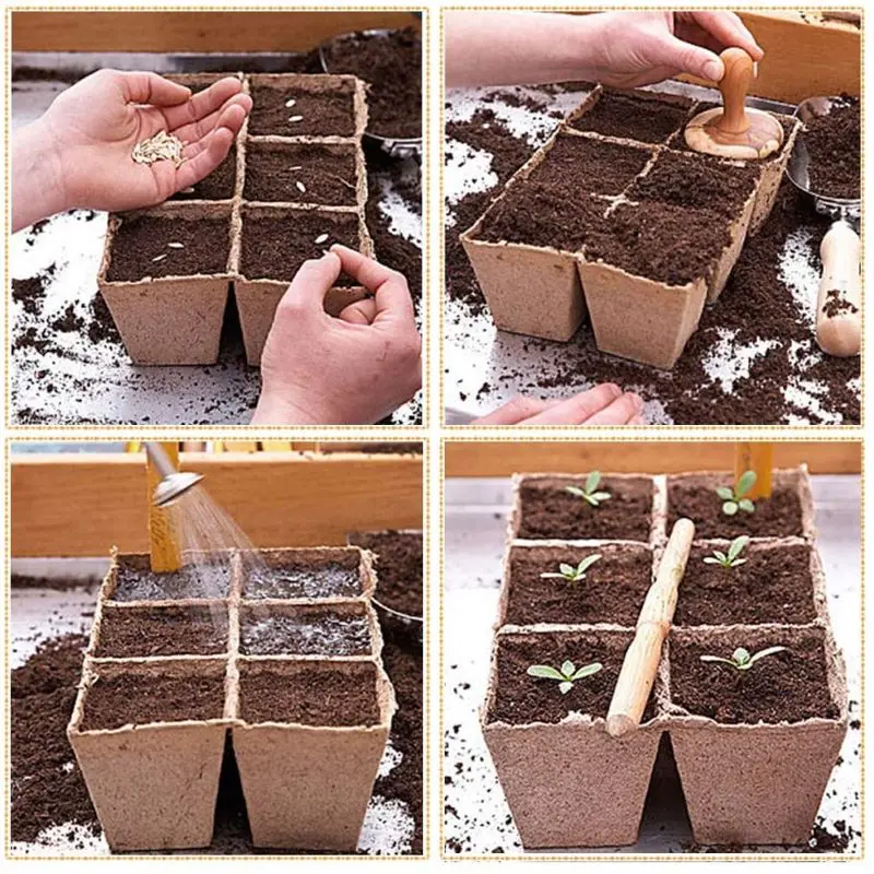 Биоразлагаемые бумажные горшки лотки для саженцев и торфа 10 упаковка семян 120