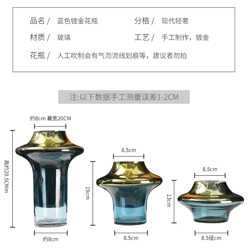 

Nordic Light luxury gold depicting transparent glass vase decoration simple living room dining table decoration hydroponic