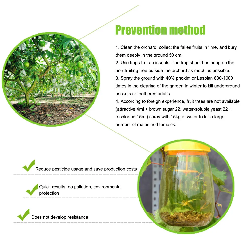 

1PCS Fruit Fly Catcher Trap Fruits Vegetables Wasp Trap Kill Pest Insect Fruit Fly Killer Traps Reusable Flies Pest Control Tool