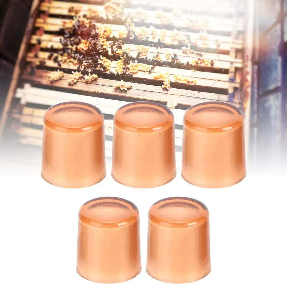 Пчеловодная королева 120 шт.|Инструменты для пчеловодства| |