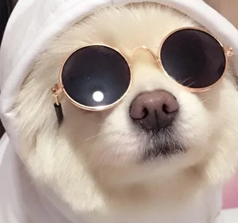 

Pet glasses cat Sunglasses Teddy dog Sunglasses personality trend pet accessories glasses