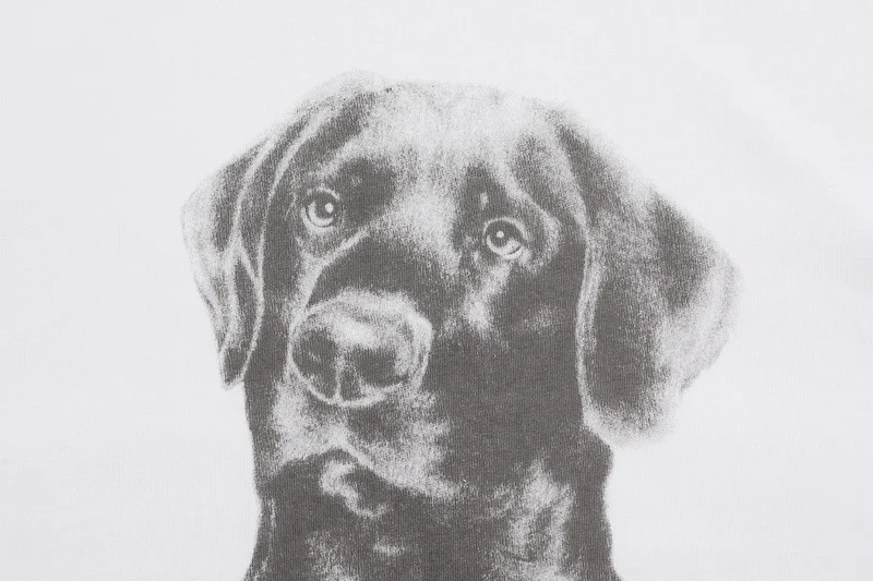 

21ss Summer Style Drew House Spot Dog Printed Tees Men Women Basic Cotton T-Shirt Men