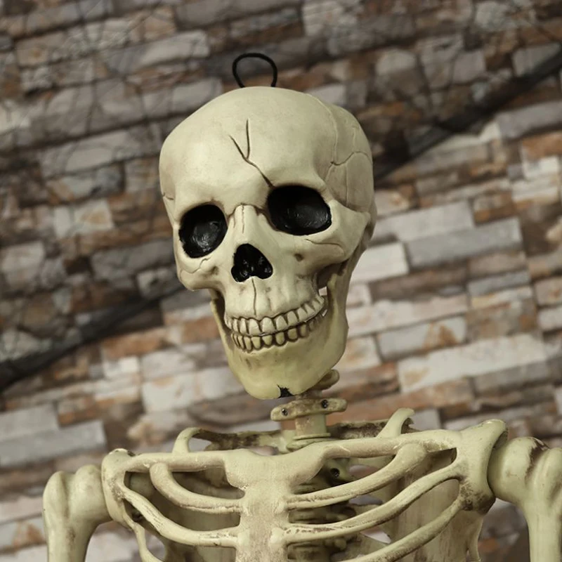 1Pcs Halloween Prop Human Skeleton Full Size Skull Hand Life Body Anatomy Model Decor Miniatures