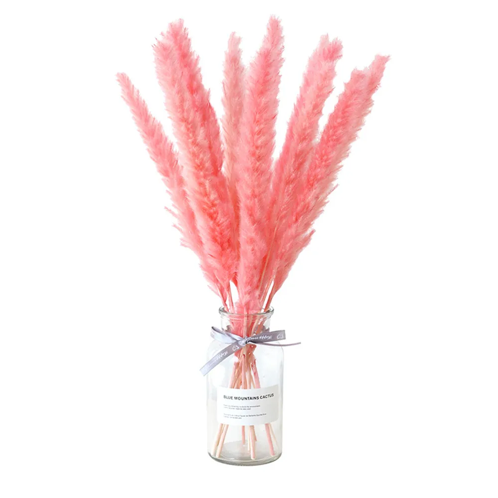 

2021 Limited Direct Selling 15pcs Decor Wedding Home Small Pampas Reed Grass Dried Natural Bouquets Phragmites 3 Colors Flowers