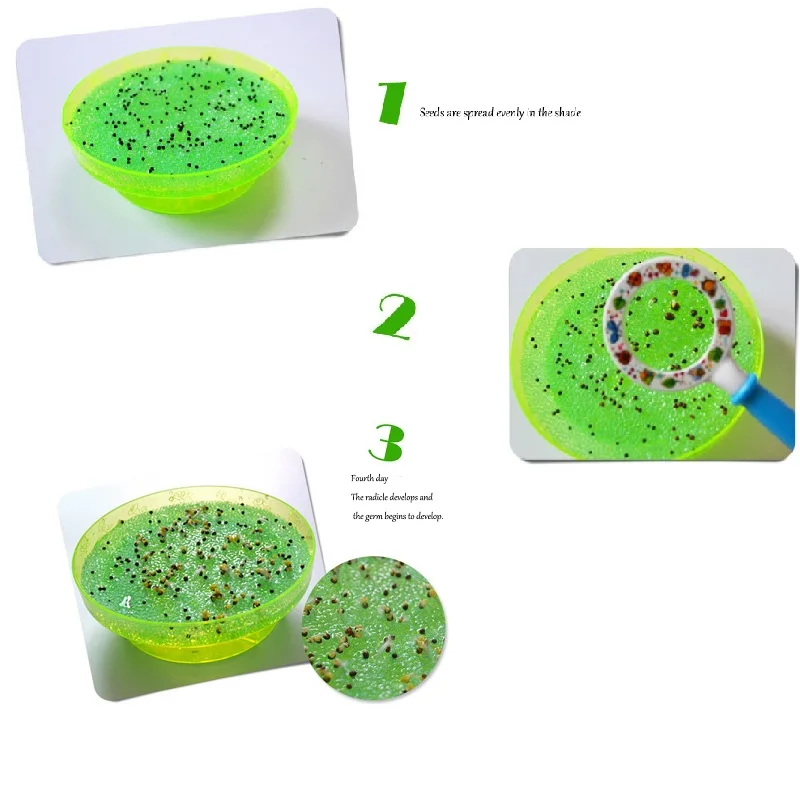 Набор для самостоятельной сборки семян Петри STEM Science Technology игрушка растение