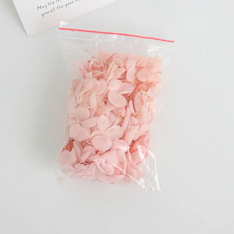 5 г/лот Гортензия Анна класса А природная свежая Цветочная головка DIY Подарочная