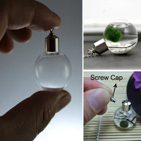 10pcs glass ball pendant with screw cap name on rice jewelry rice writing art diy vials wishing gass bottle jewelry making