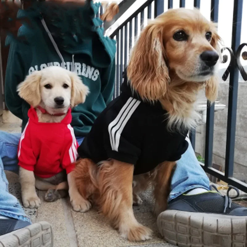 Одежда для собак классические толстовки домашних животных одежда больших