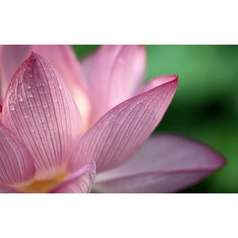 25 мм Макро Удлинитель AF Автофокус ttl экспозиция медное металлическое кольцо для