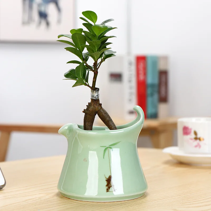 Горшок для растений персональный зеленый креативный домашний декор