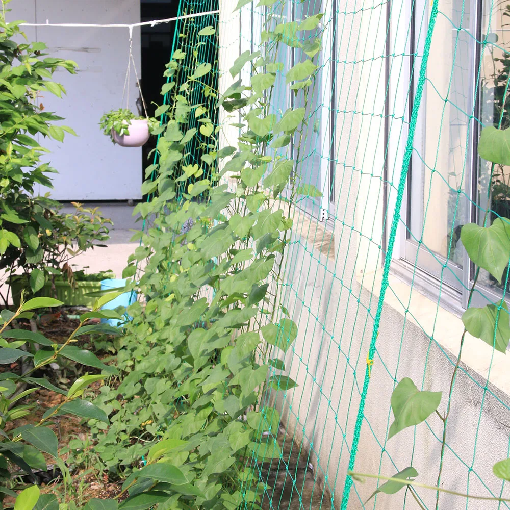 

1pcs Hi-quality Nylon Garden Netting Loofah Morning Glory Flowers Vine Plants Climbing Net Cucumber Vine Grow Holder Brackets