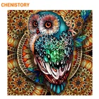 Картина для раскрашивания по номерам CHENISTORY, набор для самостоятельного рисования совами, акриловая краска по номерам, Настенная картина для раскрашивания по номерам