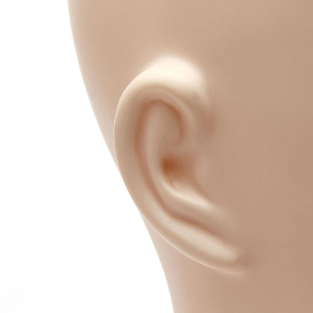 Female Mannequin Head Model Torso Plastic Dress Form with Stand Wig Hat Display Glasses Holder |